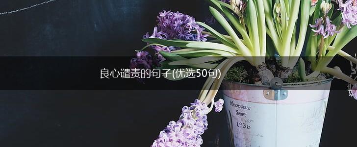 良心谴责的句子(优选50句),第1张
