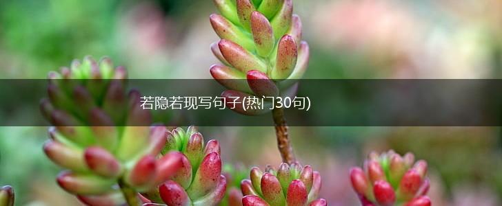 若隐若现写句子(热门30句),第1张