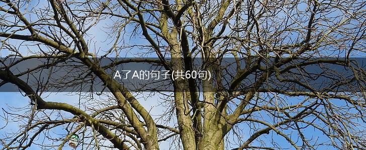 A了A的句子(共60句),第1张