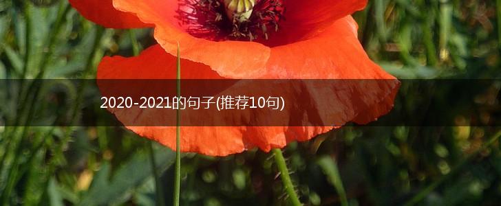 2020-2021的句子(推荐10句),第1张