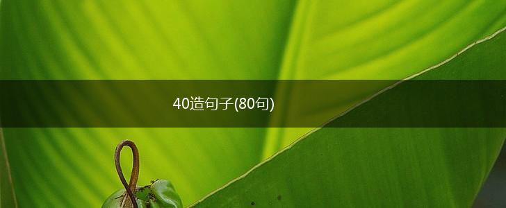 40造句子(80句),第1张