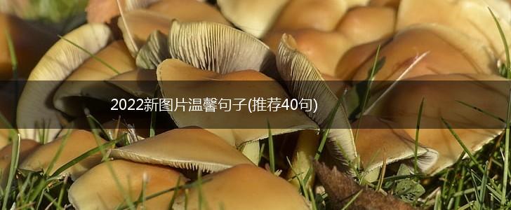 2022新图片温馨句子(推荐40句),第1张