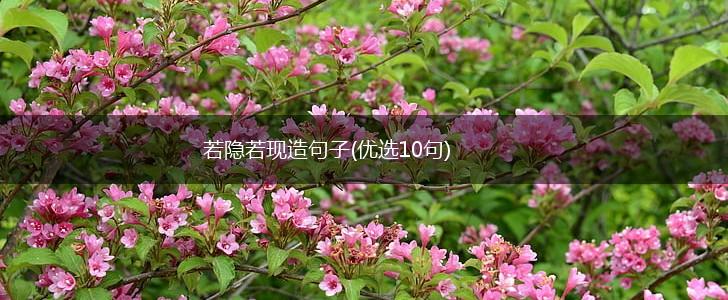 若隐若现造句子(优选10句),第1张