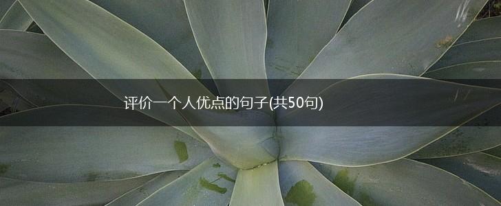 评价一个人优点的句子(共50句),第1张