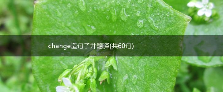 change造句子并翻译(共60句),第1张