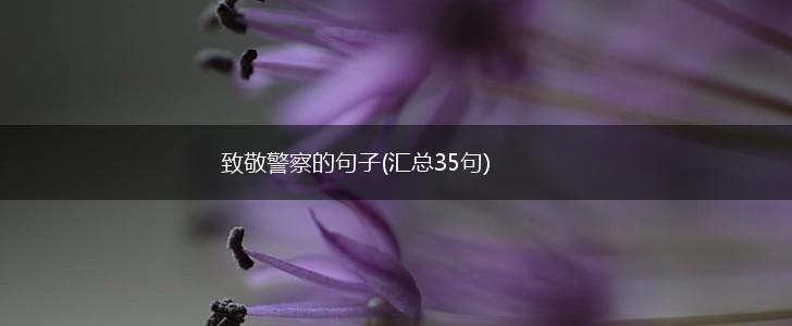 致敬警察的句子(汇总35句),第1张