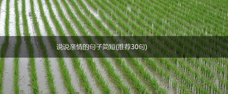 说说亲情的句子简短(推荐30句),第1张