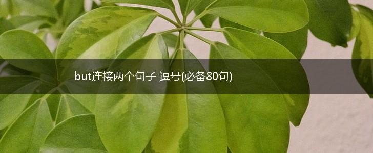 but连接两个句子 逗号(必备80句),第1张