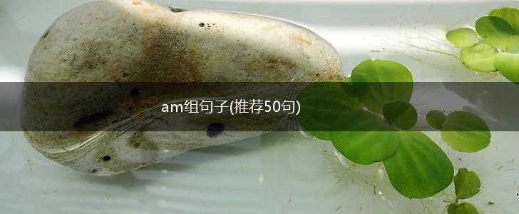 am组句子(推荐50句),第1张