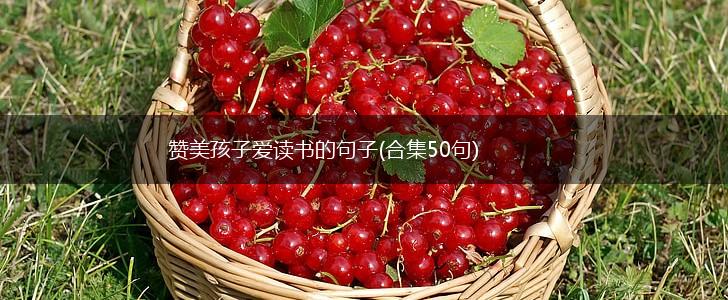 赞美孩子爱读书的句子(合集50句),第1张