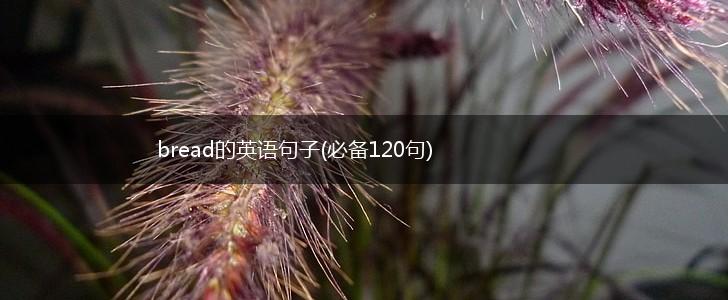 bread的英语句子(必备120句),第1张