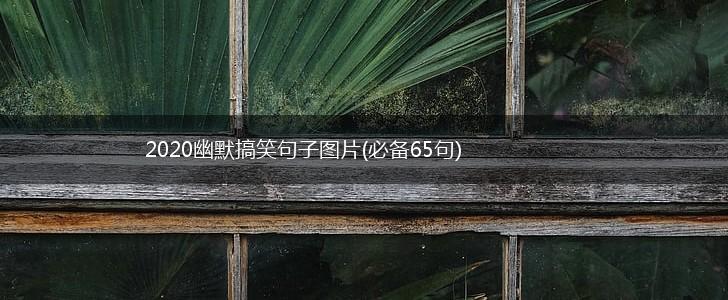 2020幽默搞笑句子图片(必备65句),第1张