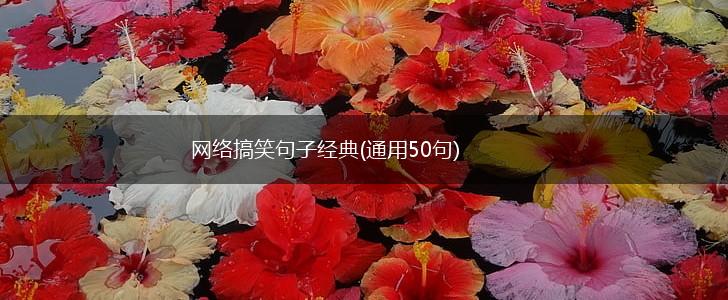 网络搞笑句子经典(通用50句),第1张