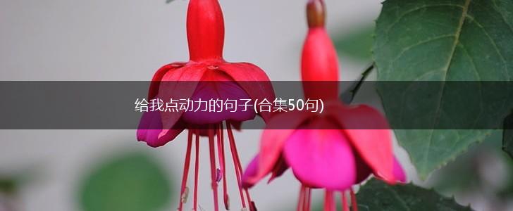 给我点动力的句子(合集50句),第1张