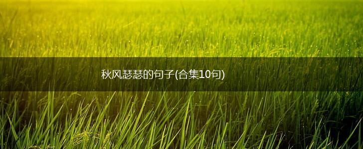 秋风瑟瑟的句子(合集10句),第1张