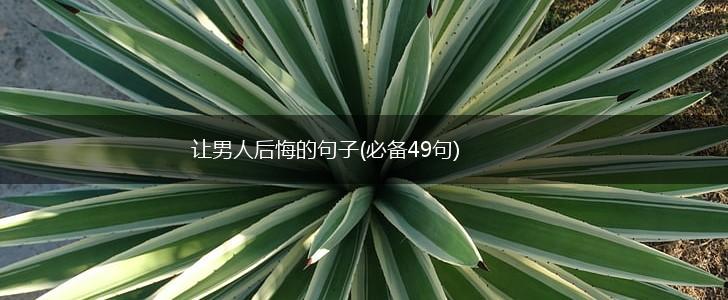 让男人后悔的句子(必备49句),第1张