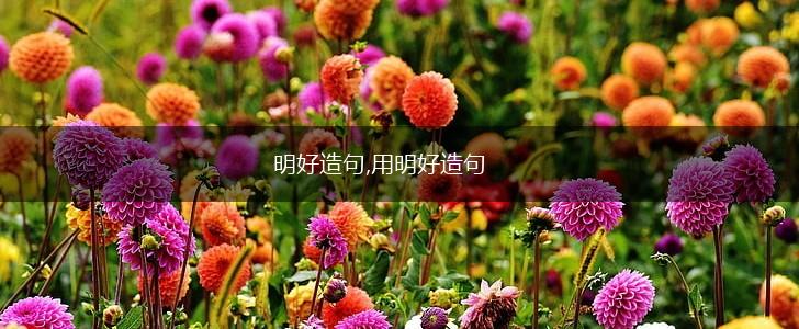 明好造句,用明好造句,第1张