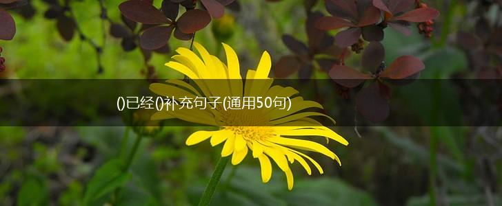 ()已经()补充句子(通用50句),第1张