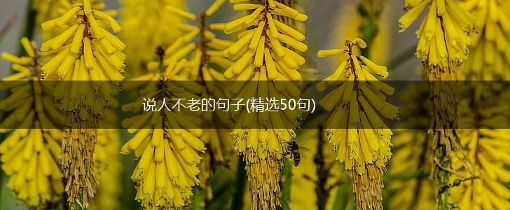 说人不老的句子(精选50句),第1张