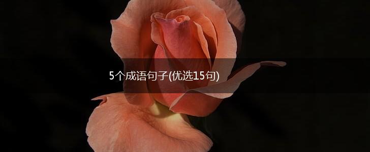 5个成语句子(优选15句),第1张