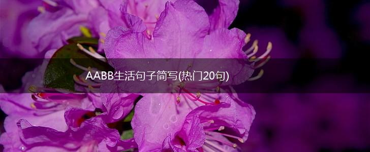 AABB生活句子简写(热门20句),第1张