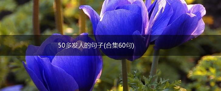 50多发人的句子(合集60句),第1张