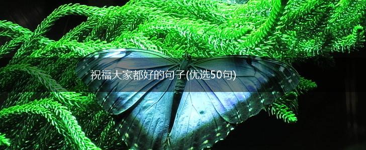 祝福大家都好的句子(优选50句),第1张