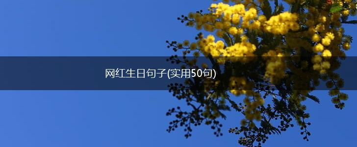 网红生日句子(实用50句),第1张