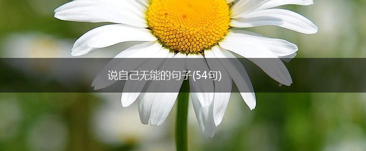 说自己无能的句子(54句),第1张