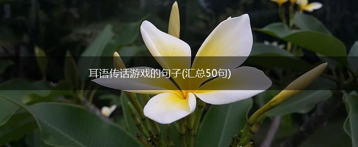 耳语传话游戏的句子(汇总50句),第1张