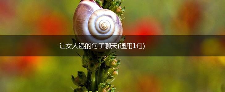 让女人湿的句子聊天(通用1句),第1张