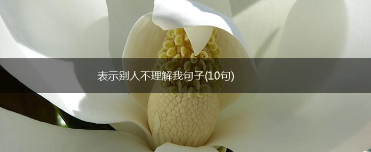 表示别人不理解我句子(10句),第1张