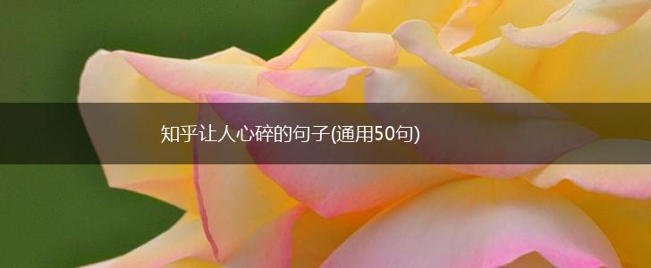 知乎让人心碎的句子(通用50句),第1张