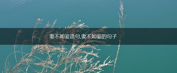 妻不如妾造句,妻不如妾的句子,第1张