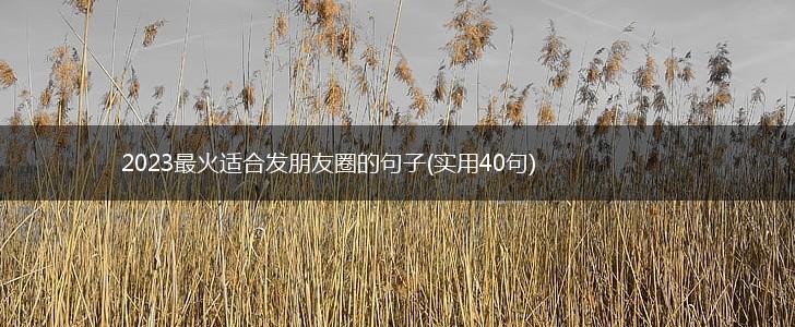 2023最火适合发朋友圈的句子(实用40句),第1张