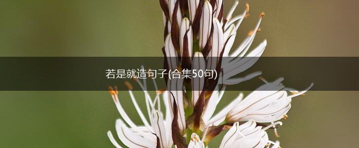 若是就造句子(合集50句),第1张