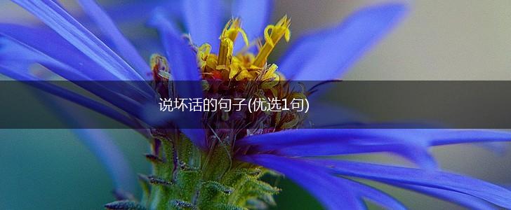 说坏话的句子(优选1句),第1张