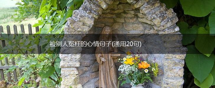 被别人冤枉的心情句子(通用20句),第1张