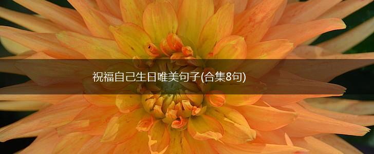 祝福自己生日唯美句子(合集8句),第1张
