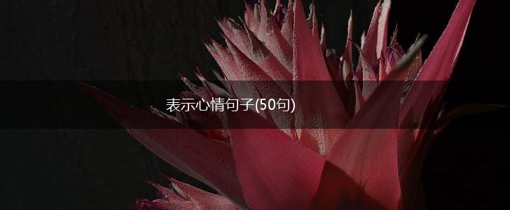 表示心情句子(50句),第1张