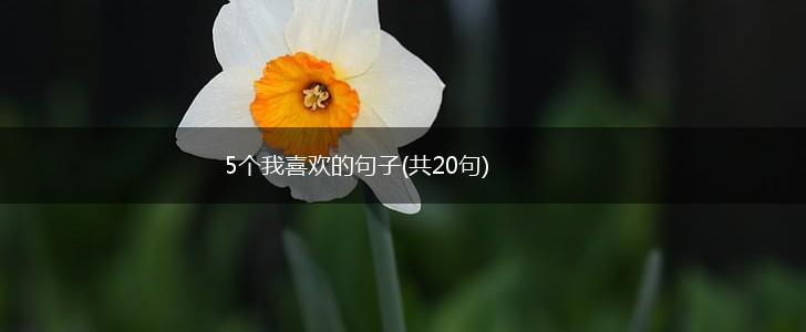 5个我喜欢的句子(共20句),第1张