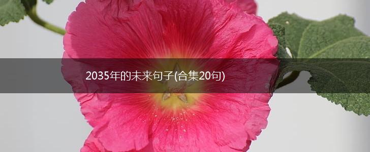 2035年的未来句子(合集20句),第1张