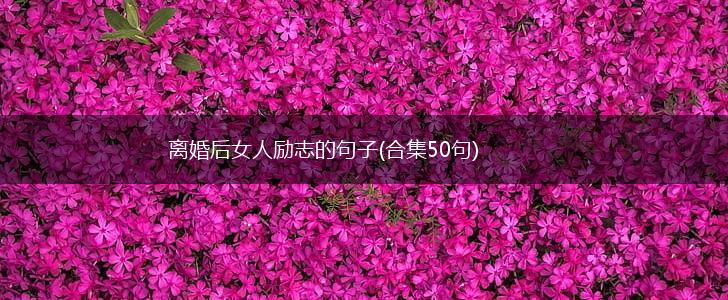 离婚后女人励志的句子(合集50句),第1张