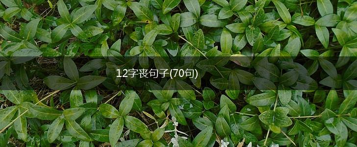 12字丧句子(70句),第1张