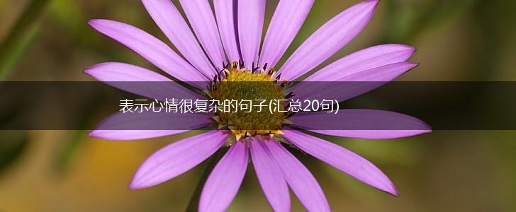 表示心情很复杂的句子(汇总20句),第1张