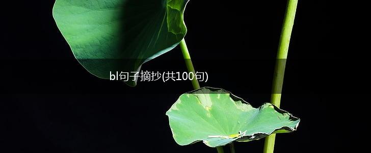 bl句子摘抄(共100句),第1张