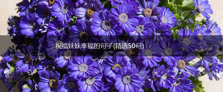 祝福妹妹幸福的句子(精选50句),第1张