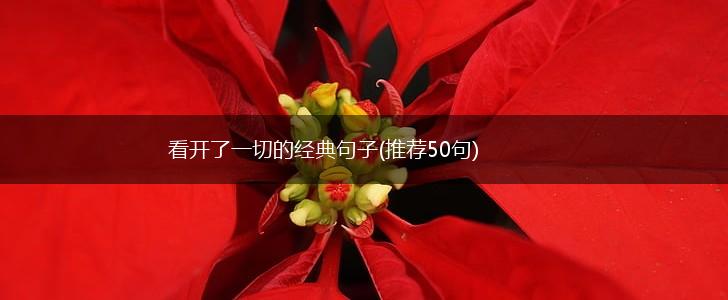 看开了一切的经典句子(推荐50句),第1张