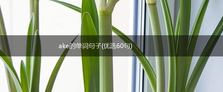 ake的单词句子(优选60句),第1张