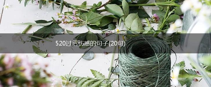 520过后伤感的句子(20句),第1张